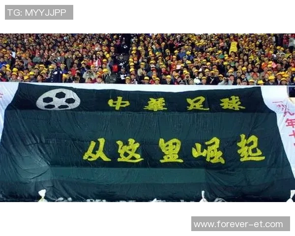 中国足球队历史性夺冠世界杯展现国人团结拼搏精神与无限可能