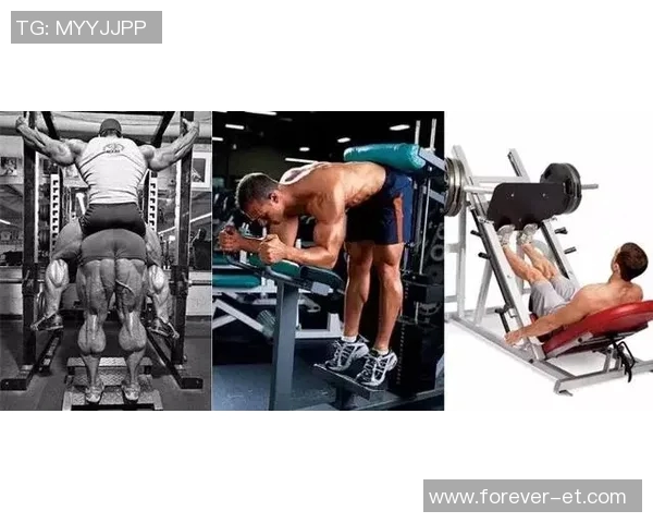 哑铃训练的肌肉群解析及最佳锻炼方法分享